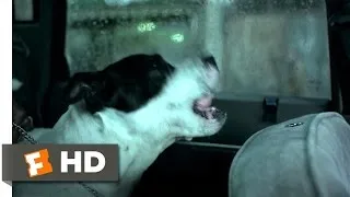 Squeaky Dog - Snatch (3/8) Movie CLIP (2000) HD