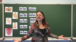 Die fünf Sinne