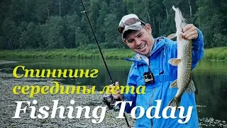 Ловим рыбу на незнакомой реке! Тактика поиска и убойная проводка! - Fishing Today