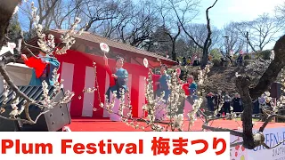 Plum Festival in Okurayama, Yokohama　　「梅まつり」横浜市大倉山の梅林にて 2024/02/24