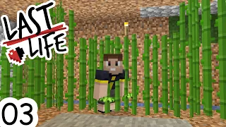 Minecraft Last Life SMP | Ep 03 - THE GREAT SUGARCANE HEIST!