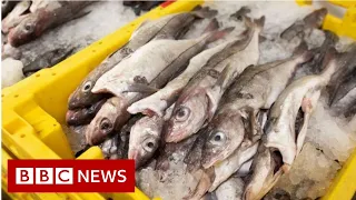 Brexit: Why is fishing a stumbling block in the trade talks? - BBC News