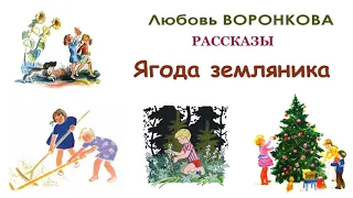 Л.Воронкова "Ягода земляника" - Рассказы Воронковой - Слушать