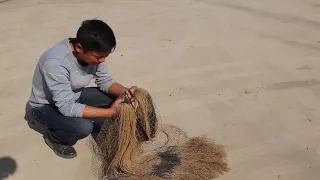 年前最后一个撒网教程，小猛哥详细教学，趁着过年学起来吧