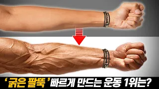 과학적으로 팔뚝(전완근) 가장 빠르게 키워주는 운동 1위는!?