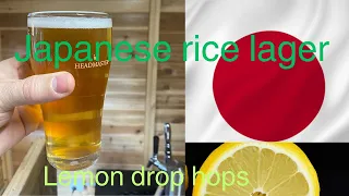 Brew a Japanese rice lager using lemon drop hops