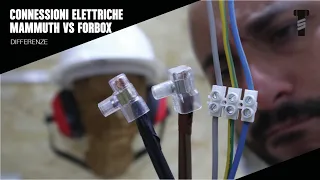 Connessioni elettriche: Mammuth vs Forbox