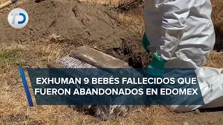 Activistas exhuman cadáveres de bebés que murieron abandonados en Edomex; buscan justicia