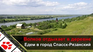 Волков отдыхает в деревне - Едем в город Спасск-Рязанский. Часть 2