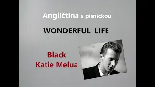 Angličtina pro mírně pokročilé s písničkou WONDERFUL LIFE,  kurz angličtiny na YouTube