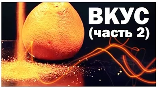 Галилео. Вкус (часть 2): Сколько всего вкусов?