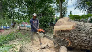 Woodcutting skills... Cut down 2 Trembesi trees next to the cemetery.