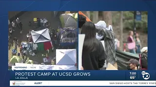 As encampments dismantle across US, UCSD sets up their own