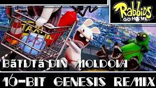 [16-Bit;Genesis]Bãtutã Din Moldova - Rabbids Go Home(COMMISSION)