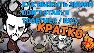 Кратко о том, как пережить зиму в Don't Starve Together/RoG