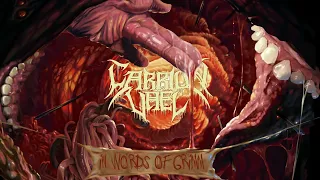 Carrion Vael - In Words of Grimm (Official Stream)
