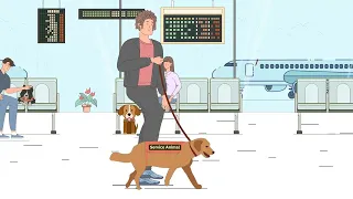 How to fly with your pet or Emotional Support Animal? - Travelling with an ESA