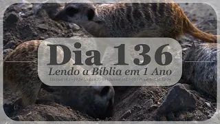 A BÍBLIA EM UM ANO (DIA 136) | JOSÉ HILÁRIO DIAS FONTES