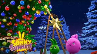 DECORANDO A ÁRVORE DE NATAL | As Aventuras de Sunny Bunnies | Desenhos Animados Infantis