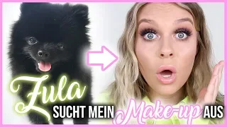 ZULA sucht mein Make-up aus ... 😱🐶 | Dagi Bee