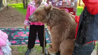Цыгане с живым медведем шоу на свадьбу праздник день рождения заказать в Киеве