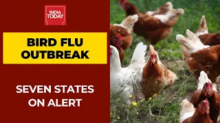 Bird Flu Outbreak: 7 States Including Kerala, UP, Himachal, Rajasthan On High Alert