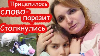 VLOG У нас в семье новый футболист