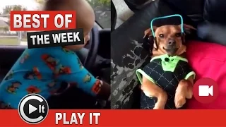 Best Funny Videos of 2016 | Part 4 | Video Compilation | Play It