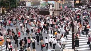 Shibuya Crossing Full HD 渋谷駅 東京