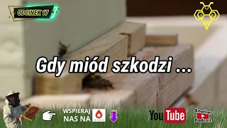 🎤 Gdy miód szkodzi ... ODCINEK 17  #dolnośląskie #miody 🎧