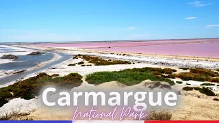 One Day in the Camargue - Flamingos, Horses and Black Bulls | Arles, Gard, South of France