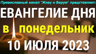 Евангелие дня / 10 июля 2023 / Понедельник / О семени и о земле