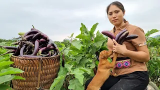 FULL VIDEO: 90 Days Harvesting Agricultural products Go to Market sell | Gardening, Animal Care