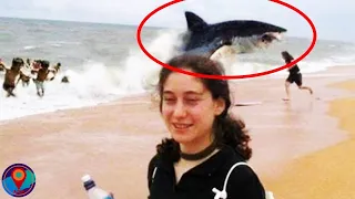 10 Shark Attacks You Won't Believe