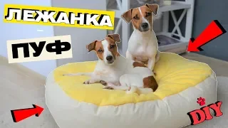 DIY🐾 | ЛЕЖАНКА - ПУФИК ДЛЯ СОБАКИ СВОИМИ РУКАМИ