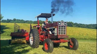 The INTERNATIONAL 966 Is ALIVE (4th Cutting Hay)