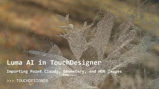 Luma AI in TouchDesigner - Import Geometry, Point Clouds, Environment Maps and more!