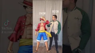 Size comparison One Piece ( Сравнение роста аниме "Ван Пис")#shorts#anime#onepiece