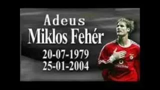 (10 years ago) Miklos Feher's death (FULL VIDEO) - Miki's last minutes - R.I.P