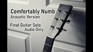 Comfortably Numb - Final Solo (Acoustic Version)