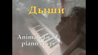 Дыши [Animal ДжаZ piano cover]