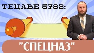 🪖 Тецаве 5782. Спецназ | Недельная глава с равом Альтшулем