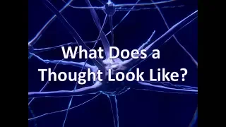 What Does a Thought Look Like?