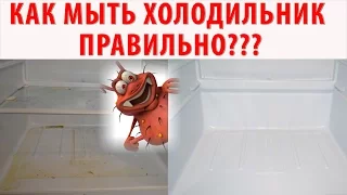 КАК ПОМЫТЬ ХОЛОДИЛЬНИК ИДЕАЛЬНО?! Генеральная уборка холодильника. Убираем плесень, грязь.