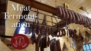 Meat Fermentation Concept: Salami