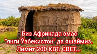 Свет, газ нархи тушиш учун нима қилиш керак? Хаққингизни талаб қилсангиз қамаласизми?