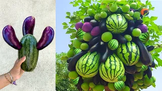 Great technique for growing eggplant and watermelon,with Aloe Vera grows really well a lot of fruit.