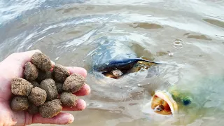 Bass and Catfish Love Fish Pellets!