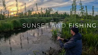 The DEADLIEST Fish in the Canal [ Catch and Cook ]