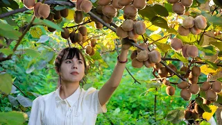 Big and sweet Kiwi fruit, make it into a variety of delicious food把又大又甜的中華獼猴桃，做成各種各樣的美食｜Lizhangliu